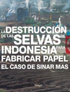 Muchas empresas siguen siendo `cómplices´ de la destrucción de las selvas de Indonesia