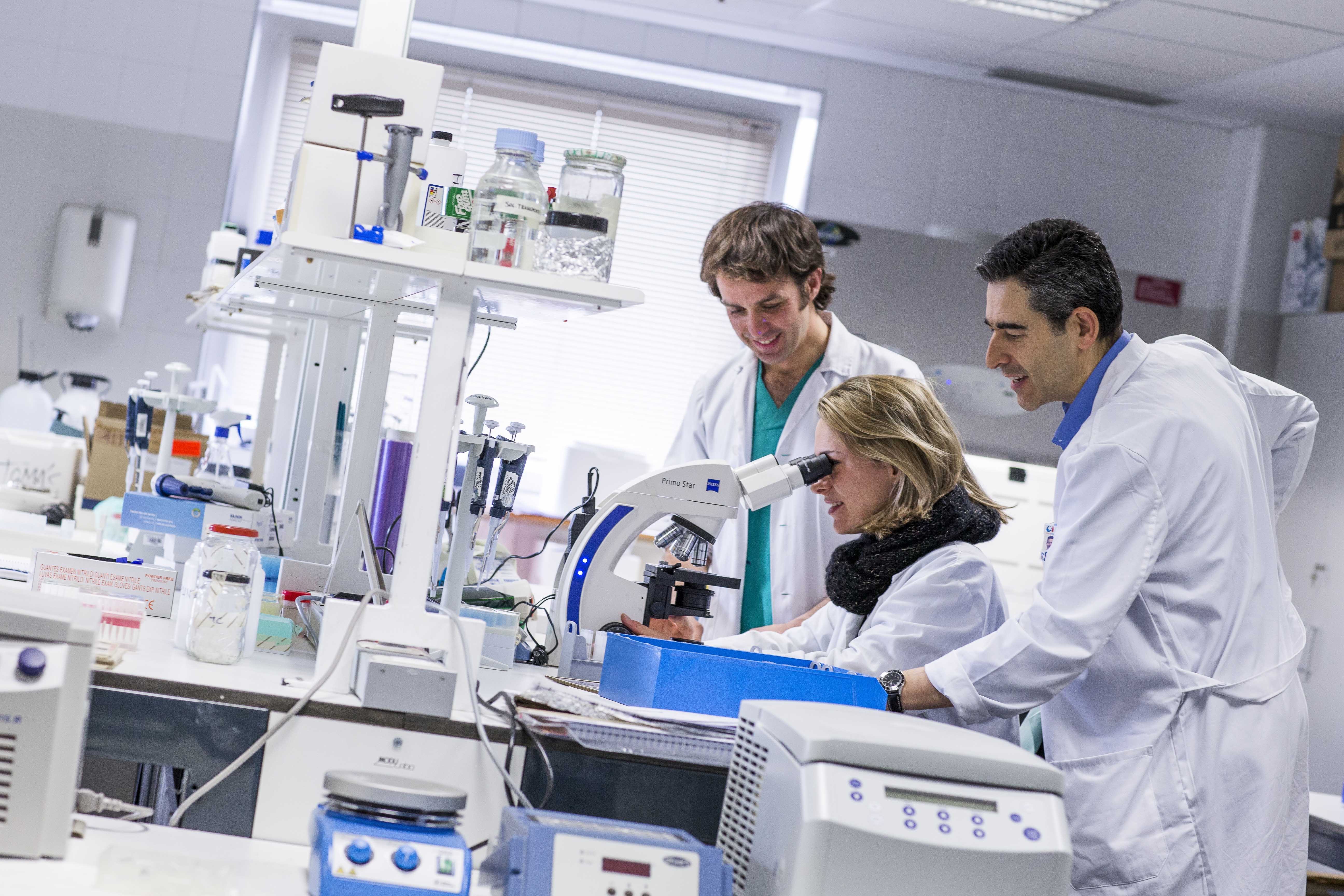 La Fundación Mutua Madrileña destina 1,8 millones a proyectos de investigación médica