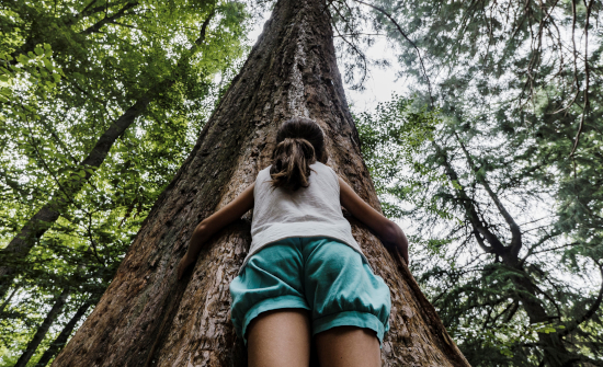 CaixaBank apoya 78 proyectos de mejora del patrimonio natural en toda España