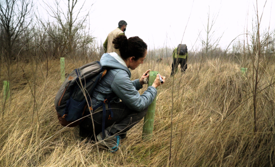 Boehringer Ingelheim España, premiada por su Responsabilidad Social