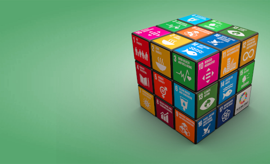 Boehringer Ingelheim recibe el Sello Oro de Network4SDGs