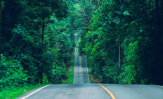 La Fundación Innovación Bankinter presenta cómo construir un mundo Net Zero 