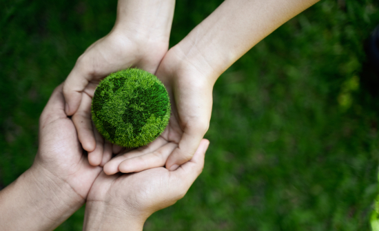 El Grupo ASISA redujo sus emisiones un 23,5% en 2022