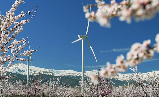 Iberdrola se cuela en el top 100 mundial de proyectos de IA para el impulso de la sostenibilidad