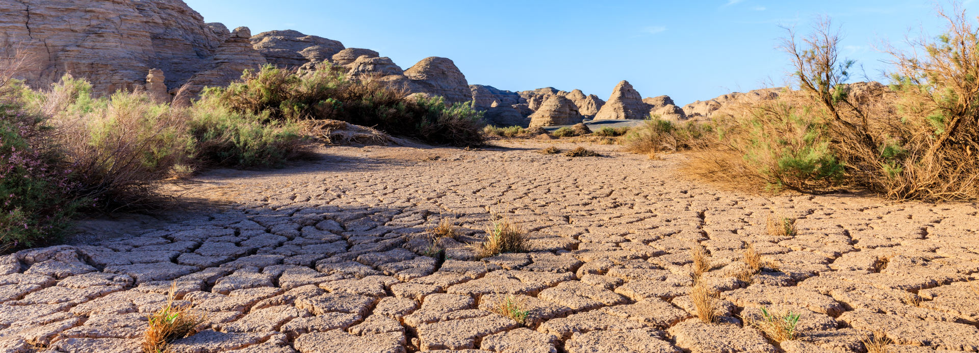 España entra en déficit ecológico el 22 de mayo: su economía depende de recursos que no genera 