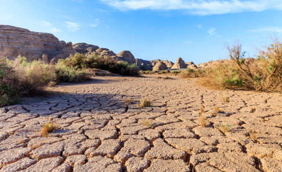 España entra en déficit ecológico el 22 de mayo: su economía depende de recursos que no genera 