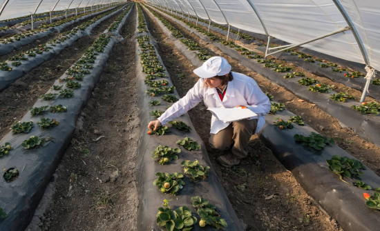 Grupo Generali reduce un 48,5% sus emisiones operativas 