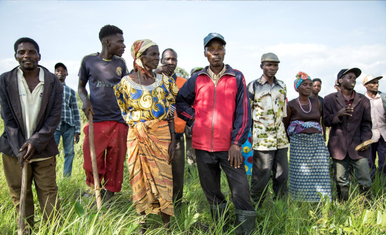 Intelcia pone a disposición de CODESPA sus recursos tecnológicos y conocimiento especializado