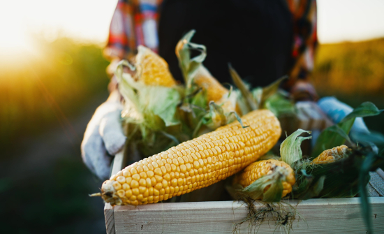 Cerca de 30 líderes del sector agroalimentario se unen al Pacto Mundial de la ONU España