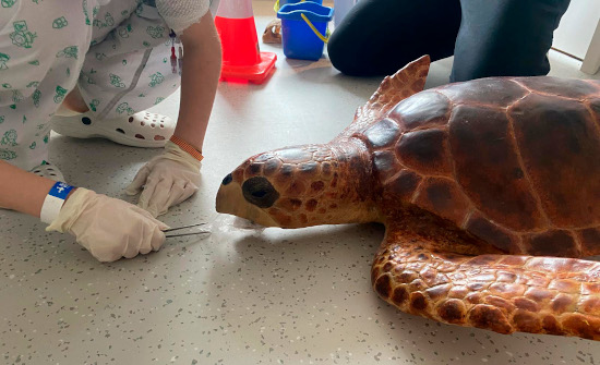 Grifols colabora con CRAM en un proyecto para acercar la conservación marina a niños hospitalizados 