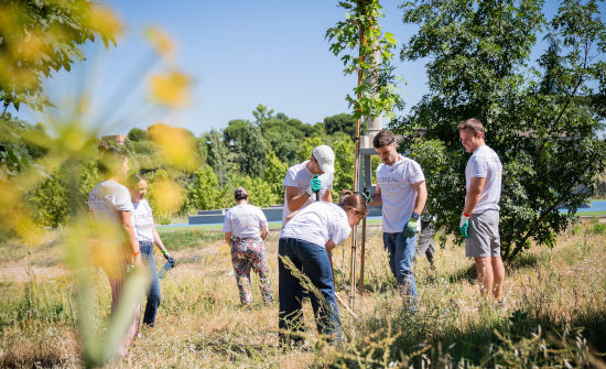L’Oréal moviliza a 700 voluntarios para restaurar un entorno natural en Tres Cantos