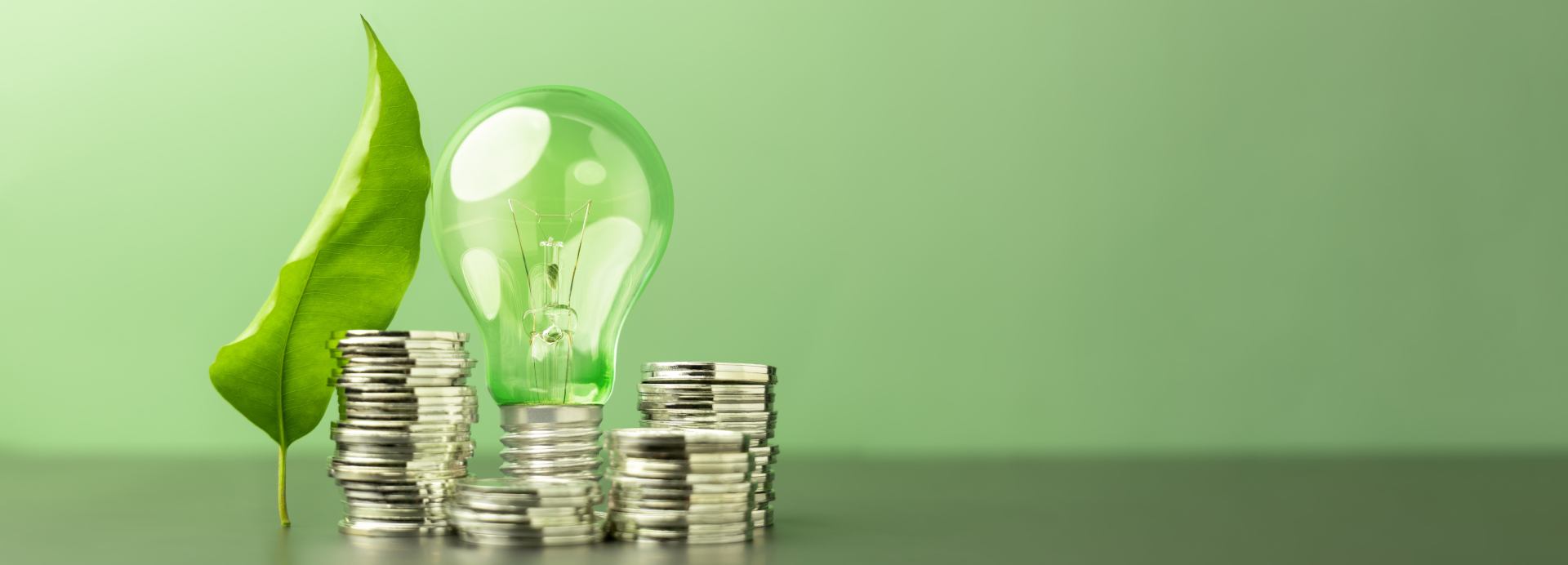 La economía verde podría crear 560.000 empleos verdes antes de 2030, pero los mayores de 50 apenas accederían a ellos